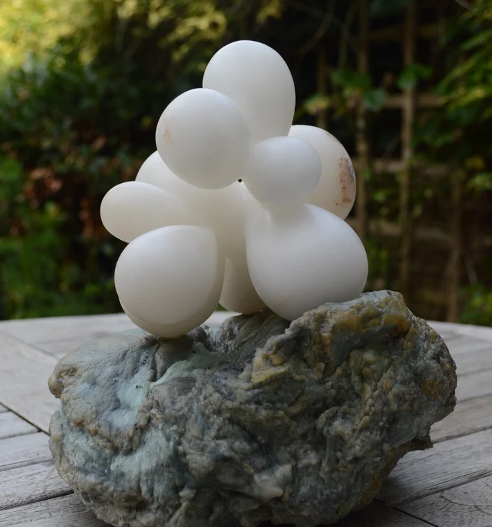 HarrisonDeborah Eclosion 23cmx20cmx20cm