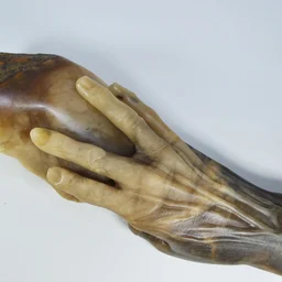 The Hand Of Fannie Storr 1