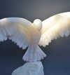 Spirit stone bird carving in alabaster