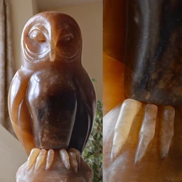 Owl_Deborah_Harrison