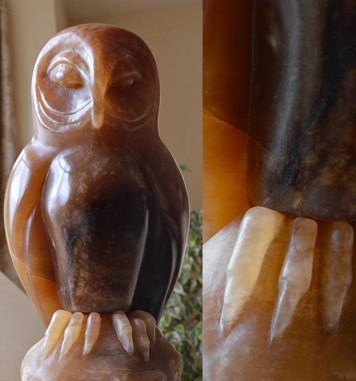 Owl_Deborah_Harrison