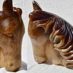 Debs_harrison_horses_head   Copy