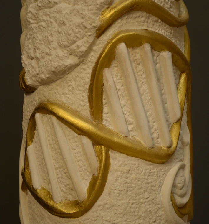 7, Chromosomes And DNA