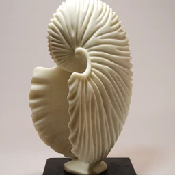 Argonaut Egg Case  1ed