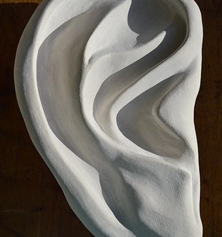 Debs_harrison_ear_22